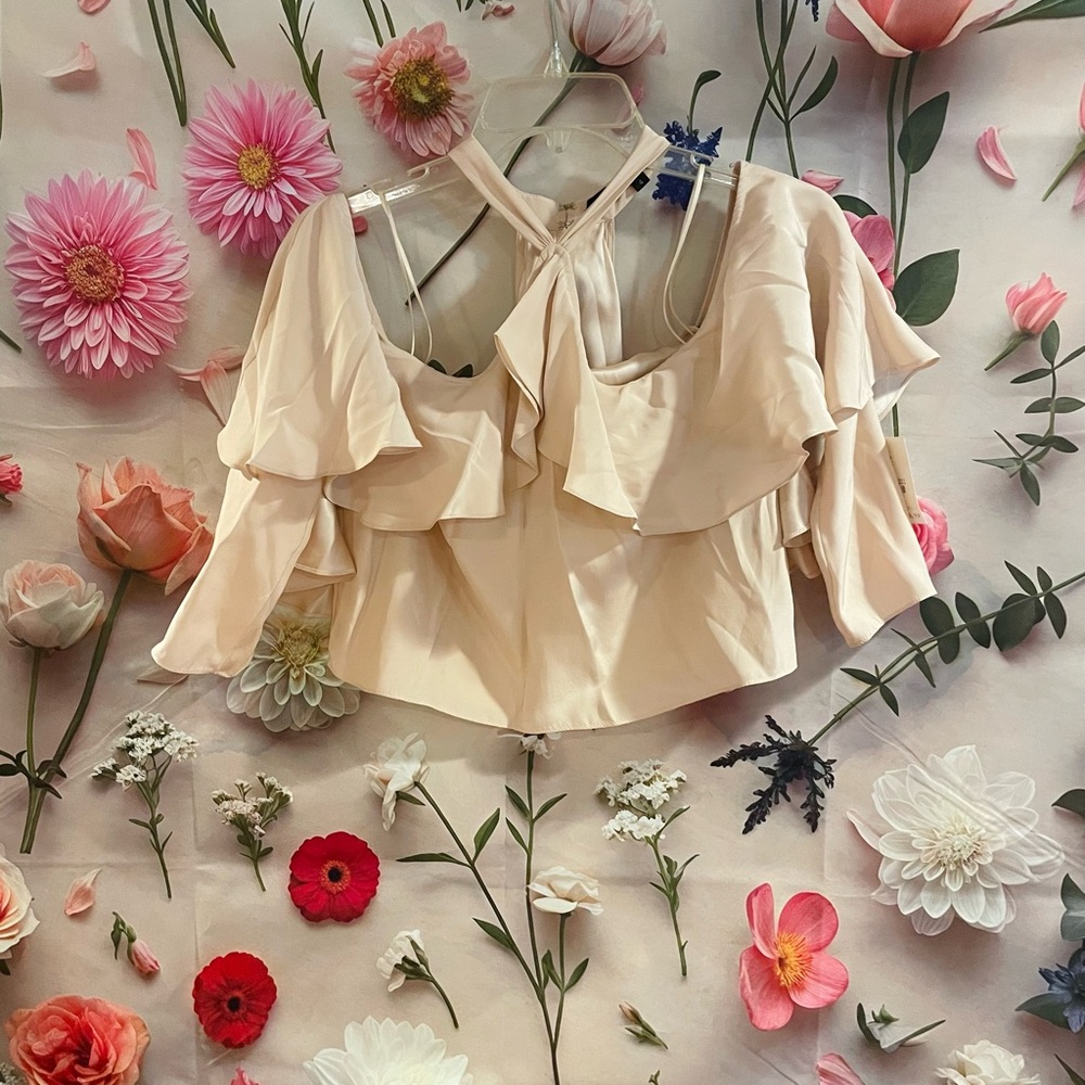 NWT $299 JAY GODFREY Kingston Blush SILK Top